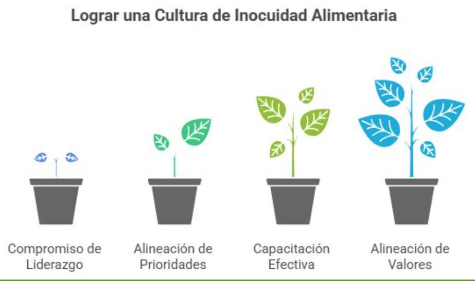 CULTURA13