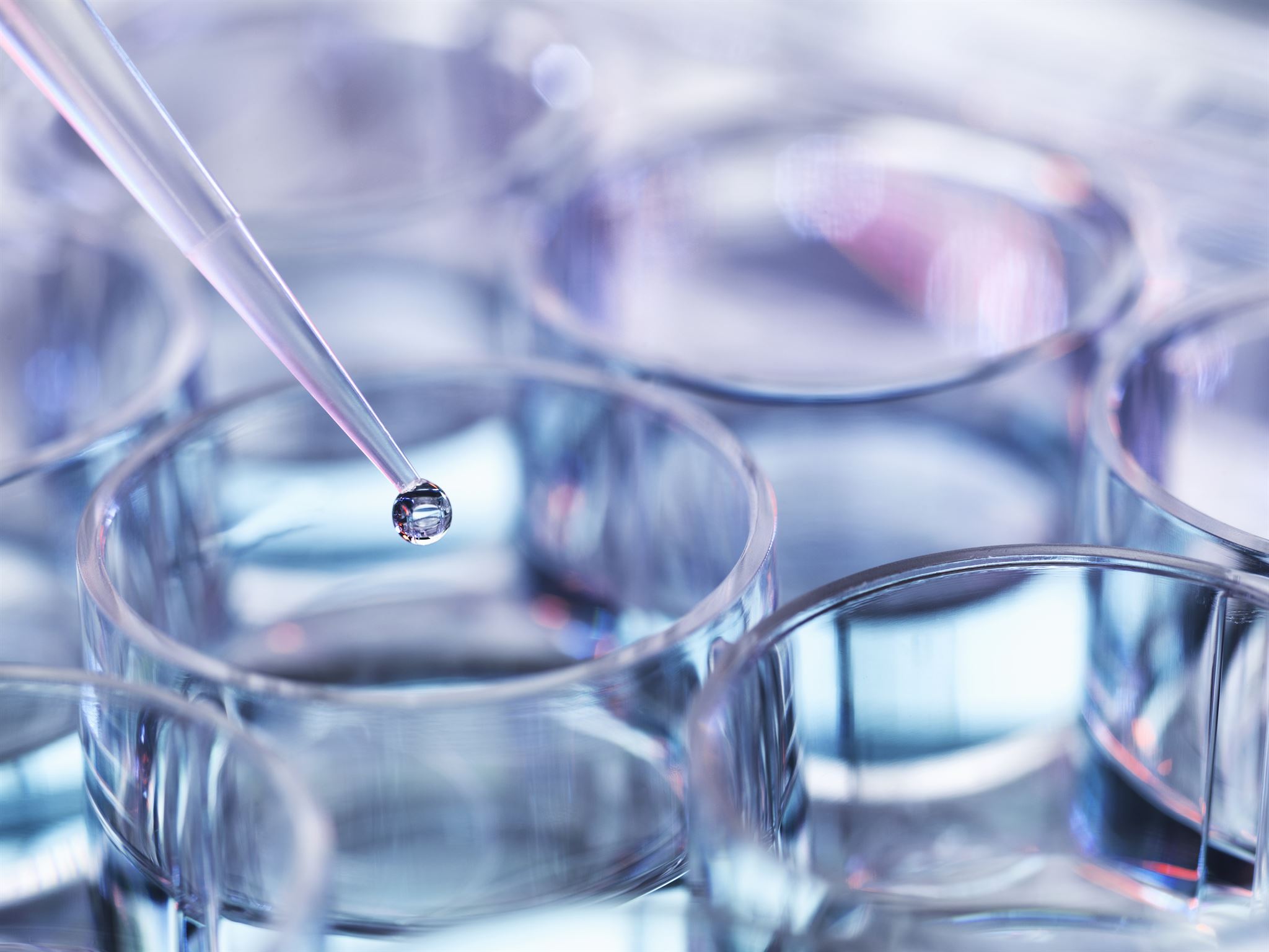 Primer-plano-de-viales-en-laboratorio
